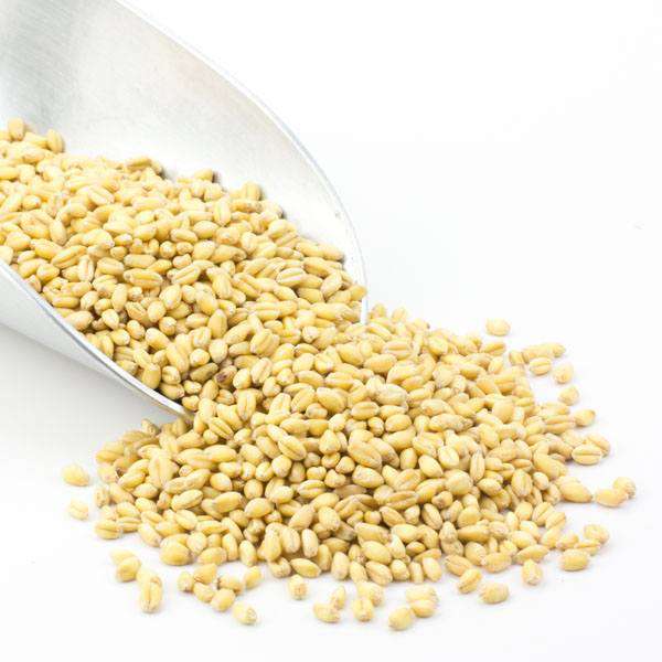 Organic Wheat Berries, Soft White - Country Life Natural Foods